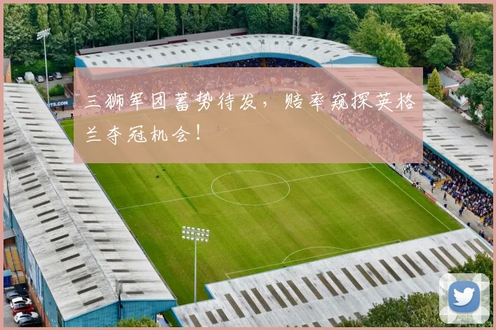 三狮军团蓄势待发，赔率窥探英格兰夺冠机会！